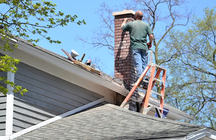 Chimney & Fireplace Inspections Services in Damascus, MD